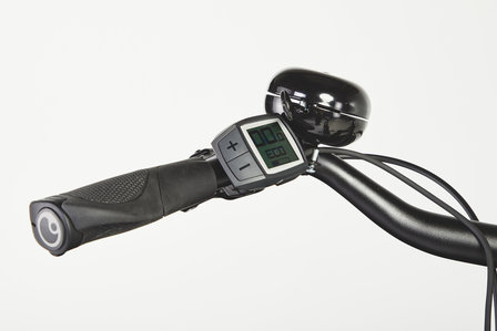 Urban Arrow Family Bosch Active Plus 
